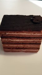 Chilean Pastel Panqueque Chocolate 🍰🇨🇱