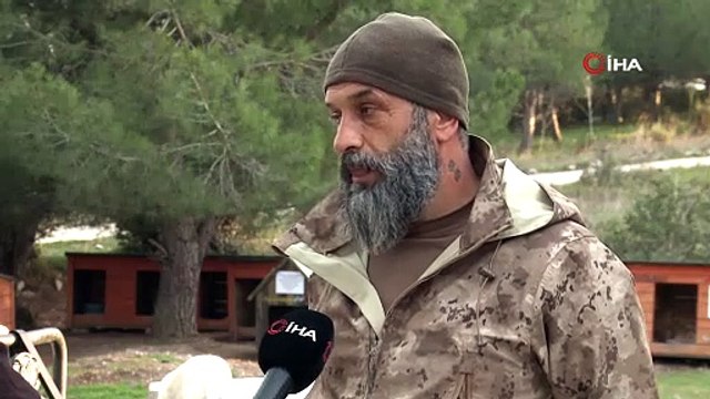 Dağdaki yüzlerce terk edilmiş sokak hayvanı her gün onun yolunu gözlüyor