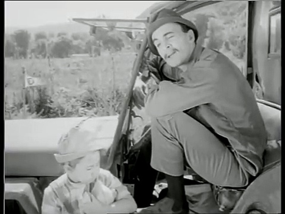 Avare Yavru ve Filinta Kovboy