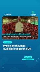 Precio de insumos avícolas suben un 60%