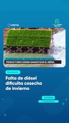 Falta de diésel dificulta cosecha de invierno