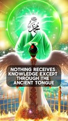 Dajjal and Jinn Know The Powerful Reality of Sayyidina Muhammad ﷺ