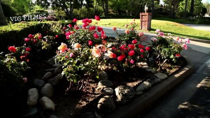 DISCOVERY ID (ASSASSINATOS EM FAMÍLIA) QUEM PLANTA, COLHE.