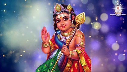 பாடி முடியுமா | "Padmashri" Dr. Sirkazhi S. Govindarajan | Lyric Video