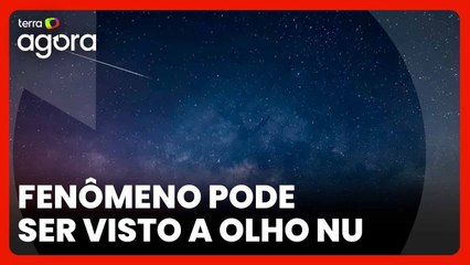 Professor dá dicas para assistir a chuva de meteoros geminídeas no Brasil