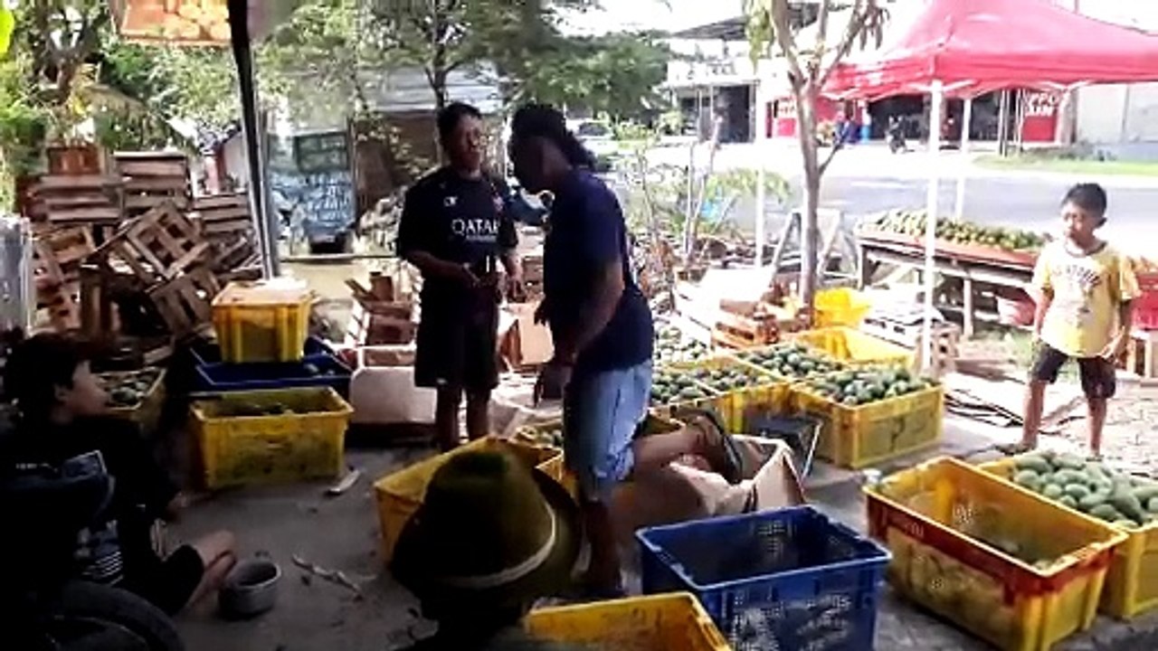Pengiriman Mangga ke Pulau Bangka Belitung