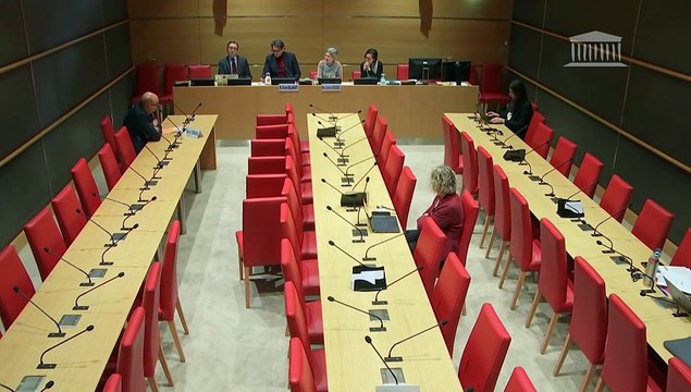 Violences commises dans les secteurs artistiques et médiatiques : M. Thierry Teboul, directeur général de l’Afdas ; M. Francis Renaud, acteur, réalisateur et scénariste français - Jeudi 12 décembre 2024