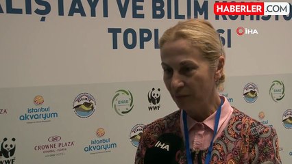 Deniz Kaplumbağaları Çalıştayı İstanbul'da Yapıldı