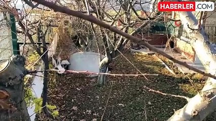 Burdur'da Göçük: 4 Ev Zarar Gördü, 1 Ev Mühürlendi