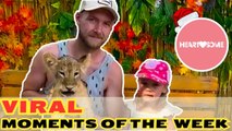 Can’t Stop Watching These Funny and Cute Viral Moments of the Week!