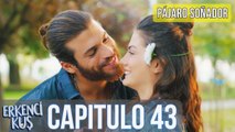 Pájaro soñador - Capitulo 43 (Audio Español) - Erkenci Kuş