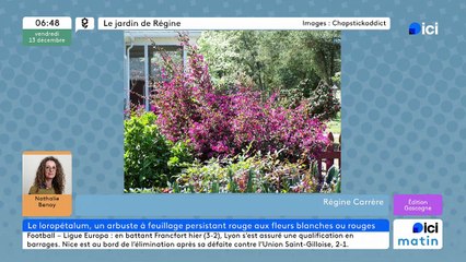 13/12/2024 - ICI Matin France Bleu Gascogne en vidéo