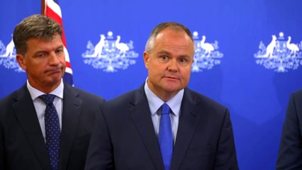 Labor has criticised the Coalition’s nuclear energy plan