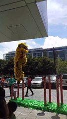 Ces acrobates déguisés en dragon de la chance n'ont pas tant de chance que ça