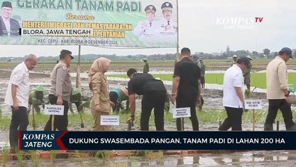 Dukung Swasembada Pangan, Tanam Padi di Lahan 200 Ha