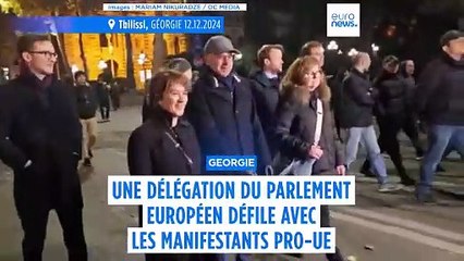 Géorgie : une délégation du Parlement européen défile avec les manifestants pro-UE