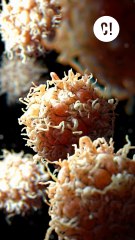 Faut-il poser ses chaussures en arrivant chez soi ?