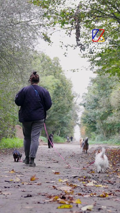 Son métier ? Promeneuse de chiens, un job pas comme les autres 🐾 | Good Job