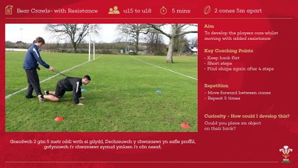 07 Bear Crawls- with Resistance