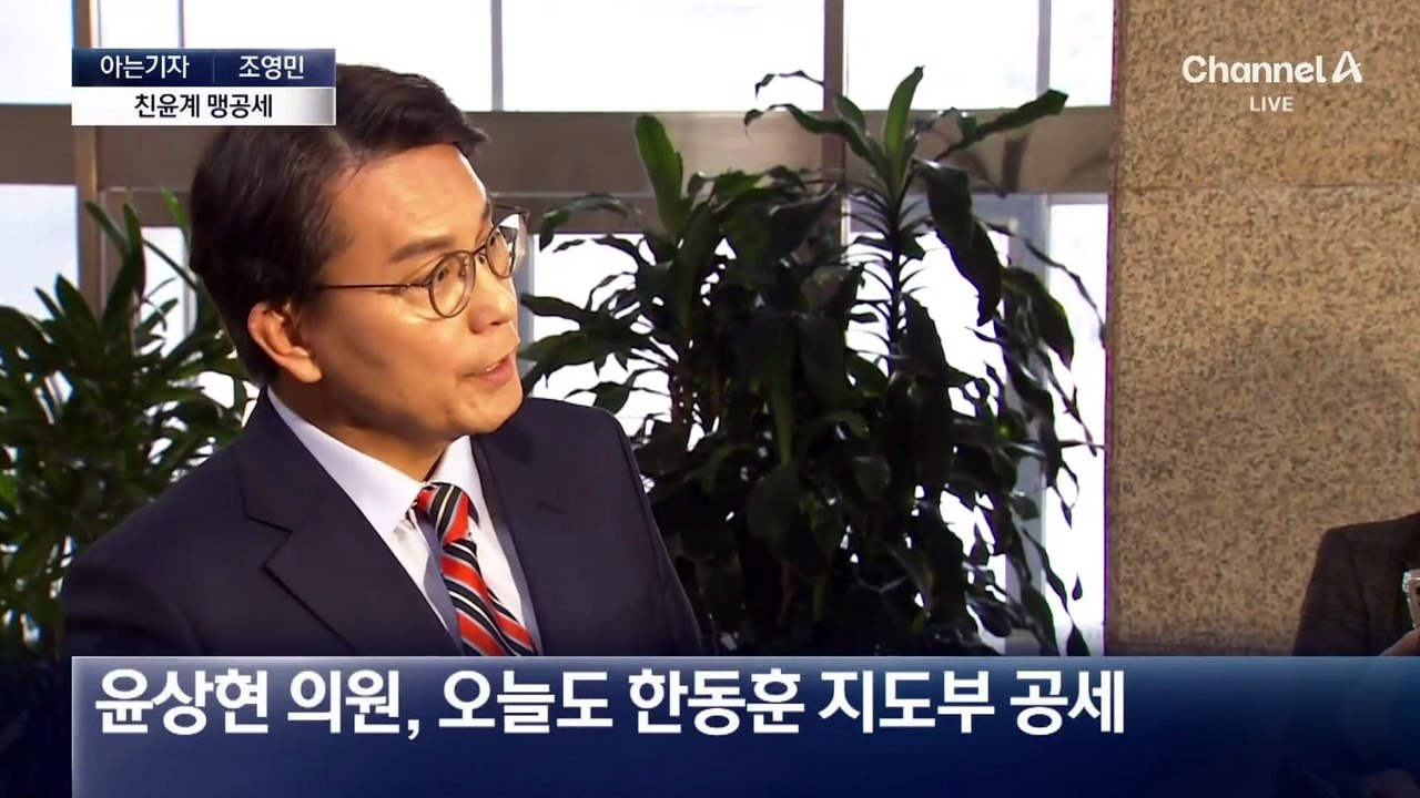 [아는기자]탄핵 통과 시 당 지도부 책임 공세?