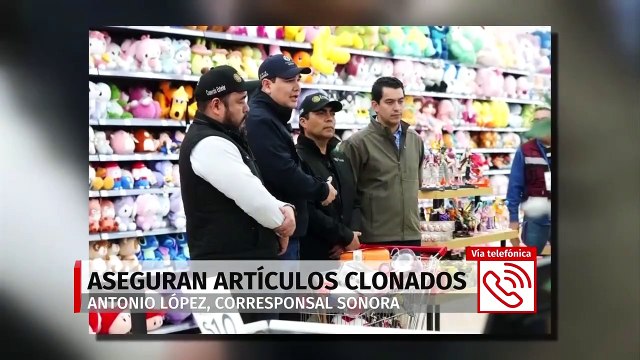Rescatan a cientos de perros tras ser abandonados en la Basílica. Magda González, 12 de diciembre 2024