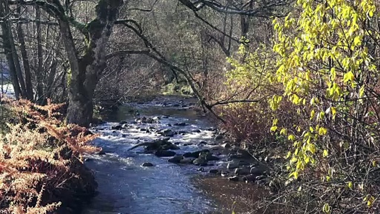 Alliances à Pont-Salomon : bande annonce