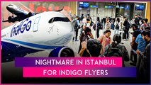 IndiGo Flights Connecting Istanbul Delayed, Hundreds Of Passengers Stranded