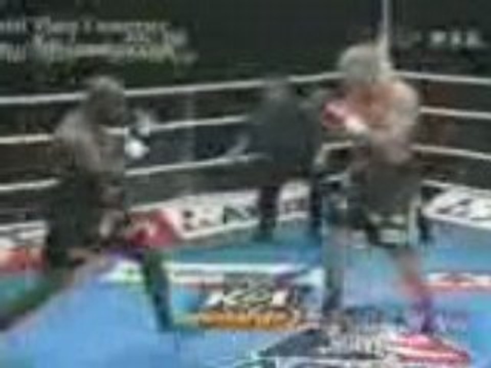 K1UFC - Best of Jerome lebanner K1