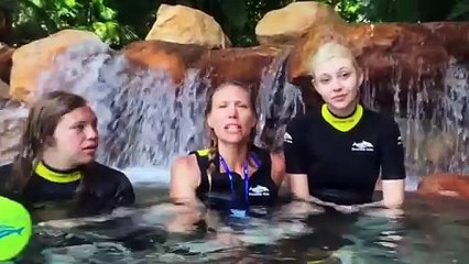 sequential sav ep. #2