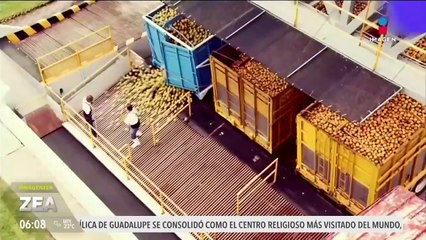 El SAT reporta que la recaudación tributaria alcanzó más de 4 billones de pesos