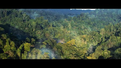 Tarzan (2025) - First Trailer | Dwayne Johnson, Megan Fox