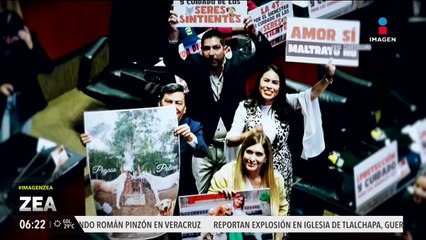 Aprueban reformas a la Constitución para prohibir el maltrato animal