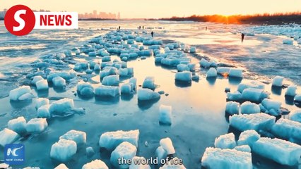 Enchanting winter fun at Harbin's 5th Ice Harvesting Festival