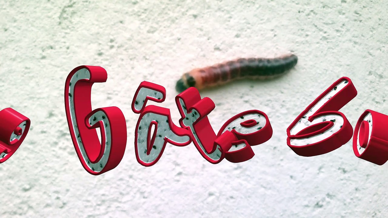 2012-05-22 Le GÂTE-BOIS
