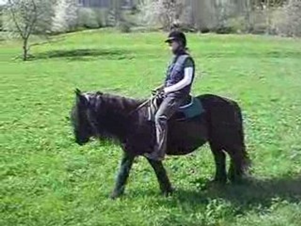 Qualia dans le pré