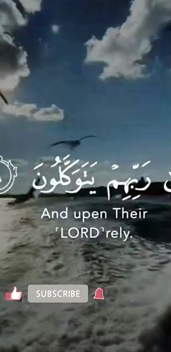 #viqarishaq #love #duet #bestrecitationofsurahewaqiah #daily
