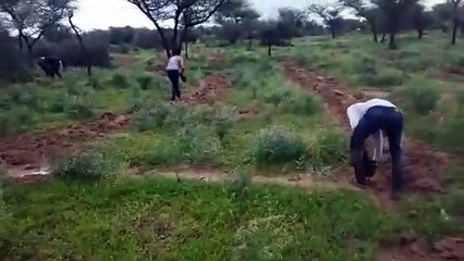 बढ़ती सर्दी के साथ ही पाले की आशंकाओं के बीच किसानों से समझाईश