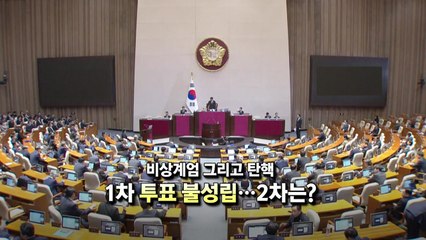 [영상] '비상계엄' 그리고 '탄핵'...1차 불성립·2차는? / YTN
