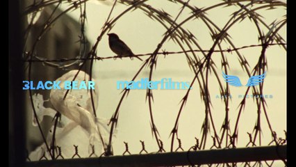 Las vidas de Sing Sing - Tráiler oficial VOSE