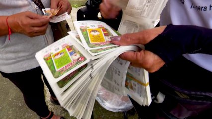 bd-aguizotes-camino-al-gordo-navideño-131224