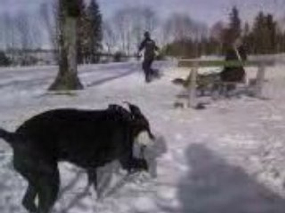Vidéo0020