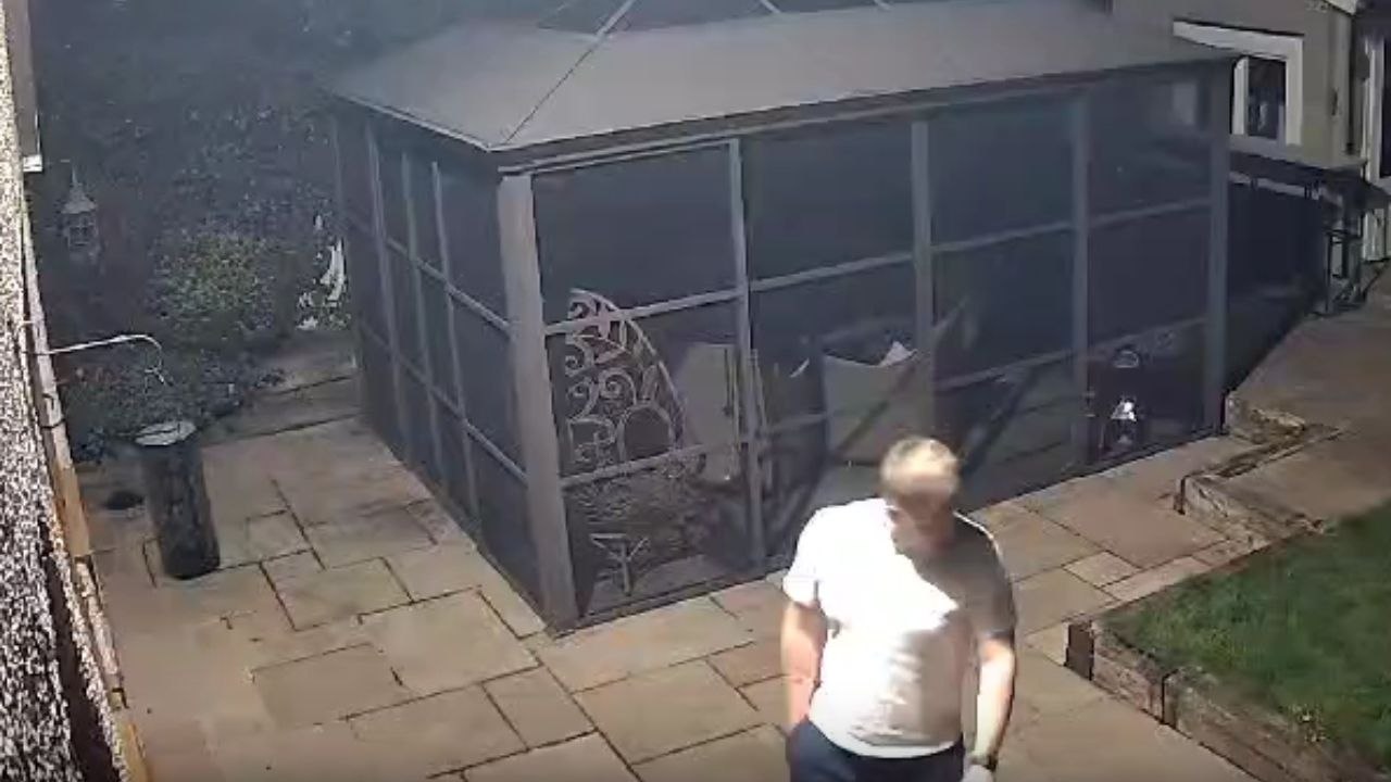 Hilariously relatable moment as puppy runs into glass door thinking it is open