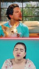 ‘En Otra Vida’: el trend que es tendencia en redes sociales; te contamos el ¿por qué?