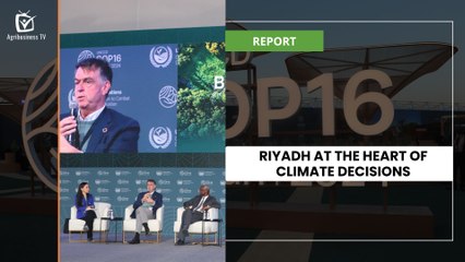 Saudi Arabia: Riyadh at the heart of climate decisions