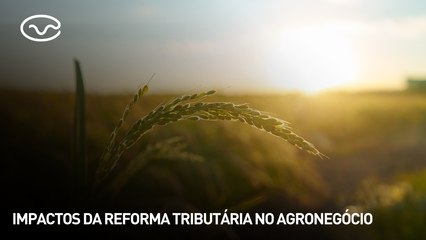 Impactos da reforma tributária no agronegócio