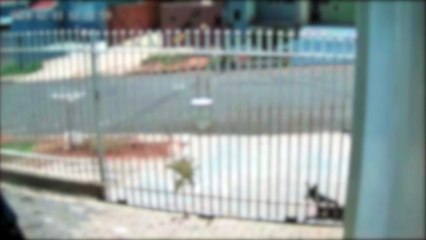 Vídeo mostra cachorro sendo baleado em calçada