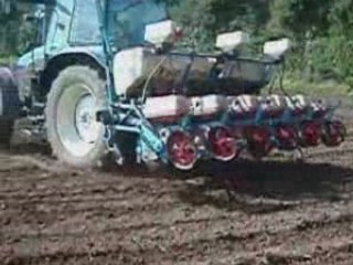 semis de maïs