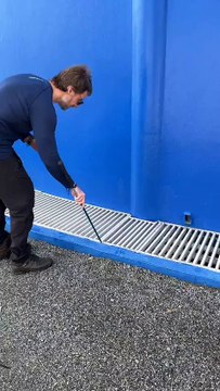 Estressada, cobra entre as mais venenosas do Brasil ataca biólogo em Jaraguá do Sul