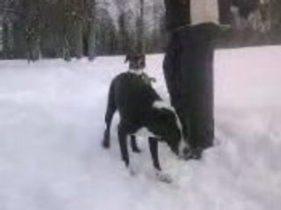Vidéo0022