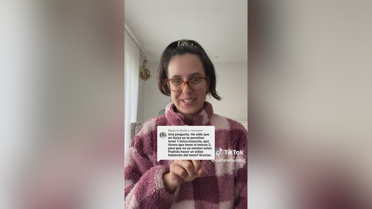 Una española que vive en Suiza cuenta qué pasa allí con las mascotas: en España, no